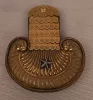 Saxon Garde Reiter Officers Epaulets for an Oberleutnant. Visuel 4